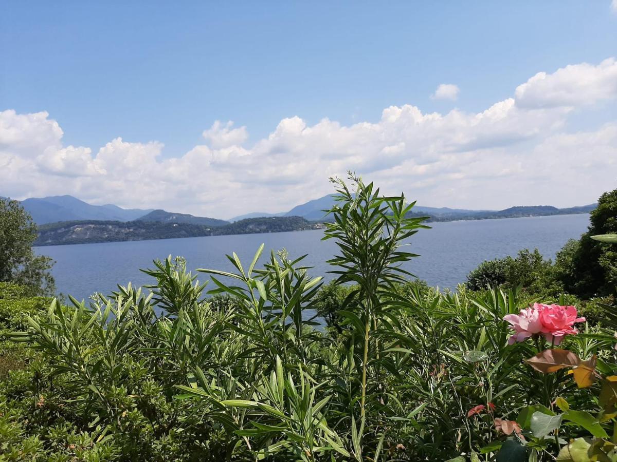 Bmp Apartment Gioiosa 2 Giardino Vista Lago Maggiore Бельджірате Екстер'єр фото